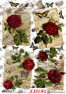 czerwone róże z listem