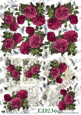 listy i róze w koloże fuksji
