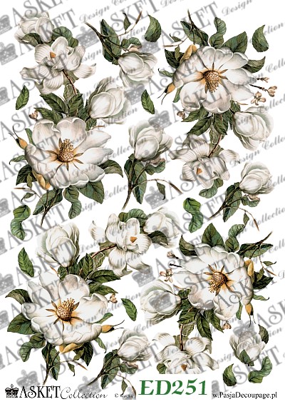 motyw białych kwiatów