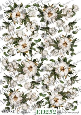 papier decoupage biała magnolia