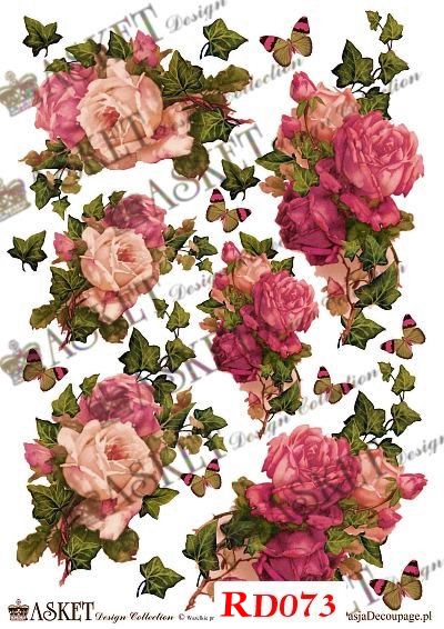 Ciemnoróżowe Róże wzór