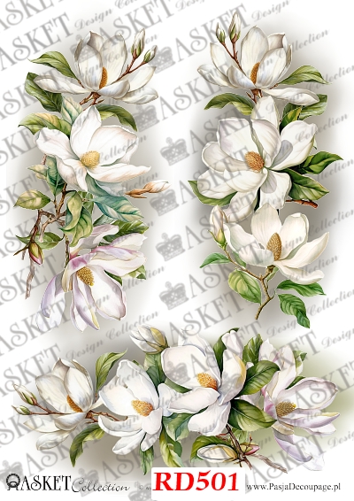 biała magnolia wzory decoupage