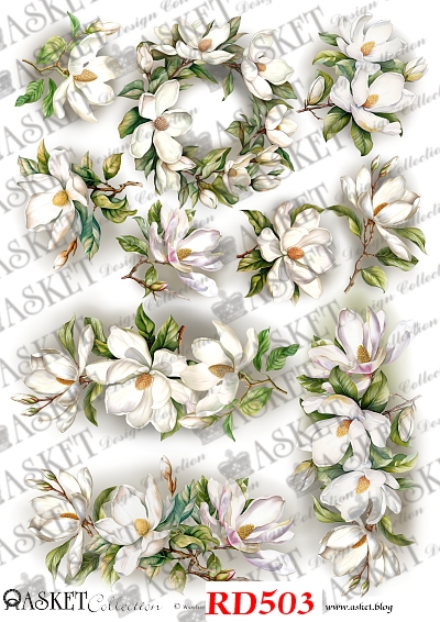 magnoliowe grafiki wzory decku