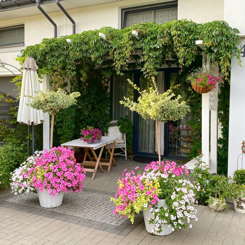 Asket Craft House wejście do pracowni