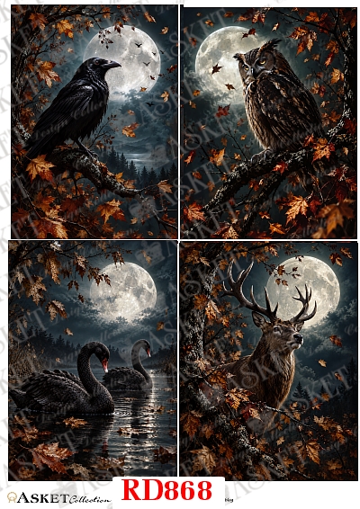papier ryżowy do decoupage z krukiem, sową, czarnymi łabędziami, jeleniem, pełnią księżyca i jesiennym lasem